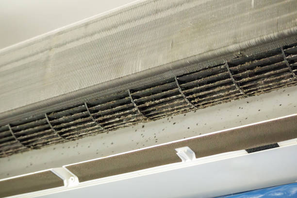 Best Air Vent Cleaning Services  in Fern Park, FL